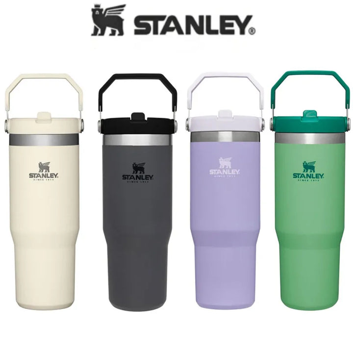 Stanley DUPE 30oz STRAW CUP Tumbler Leopard with Straw